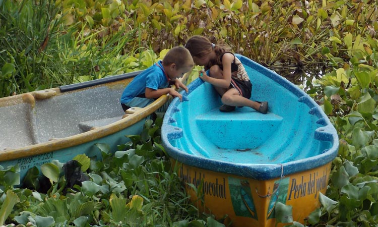 Aquatic Weed Control